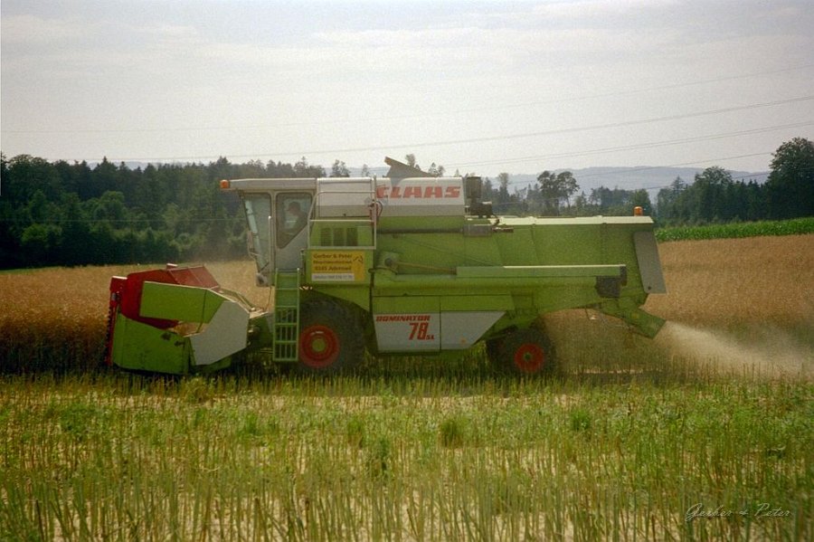 Claas Drescher 27